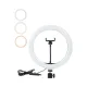 Anneau LED selfie 33cm dimmable bi-color avec support smartphone et câble de connexion